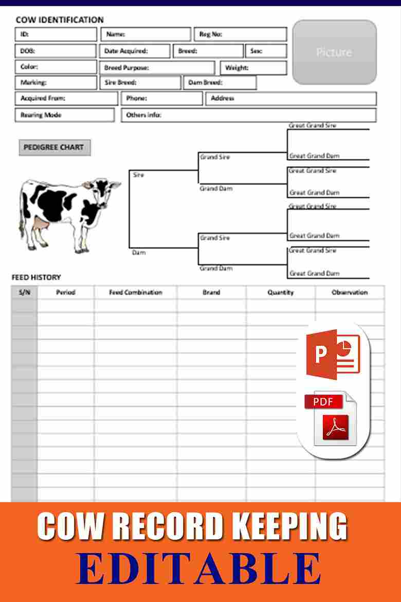 Beef Cattle Record Keeping Forms Template